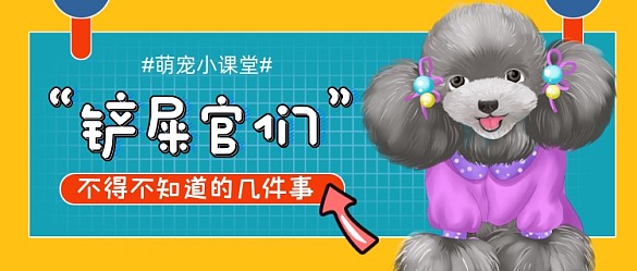 简约卡通萌宠小课堂公众号首图