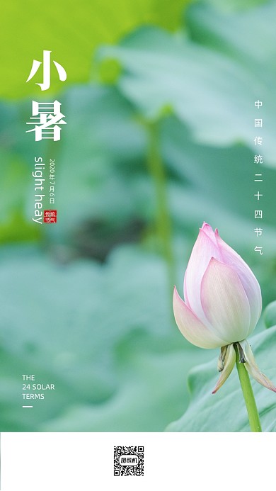 清新简约小暑节气荷花海报