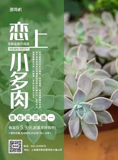 清新简约创意绿色多肉促销海报