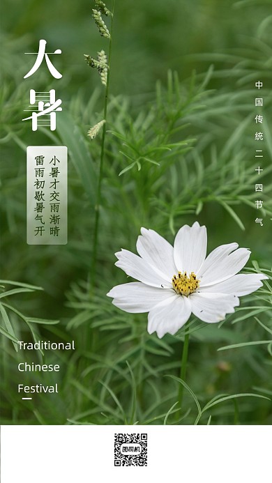 大暑传统24节气手机海报
