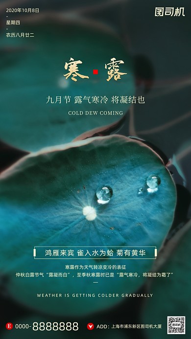 寒露节气小清新荷叶摄影图手机海报
