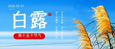 白露节气蓝色简约公众号首图