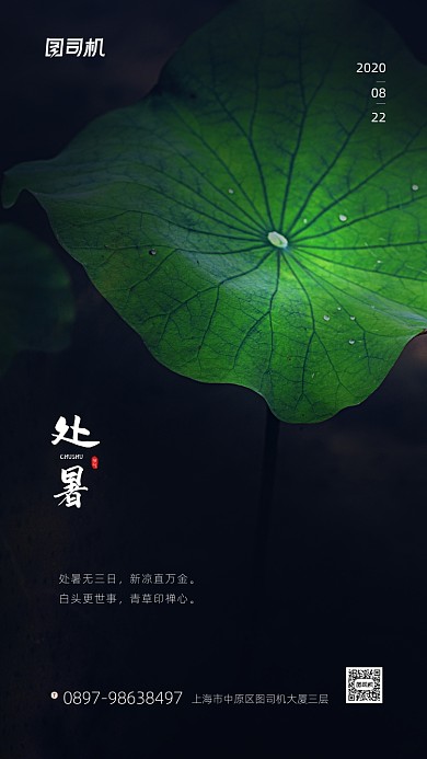 处暑节气简约摄影图片手机海报