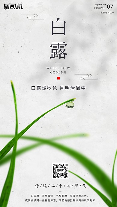 传统节气白露手机海报