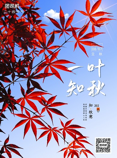 简约一叶知秋二十四节气立秋海报