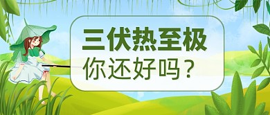 三伏天加长版公众号首图