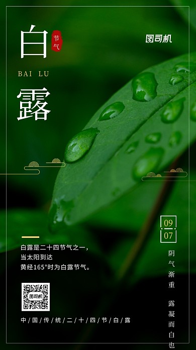 白露节气24节气手机海报