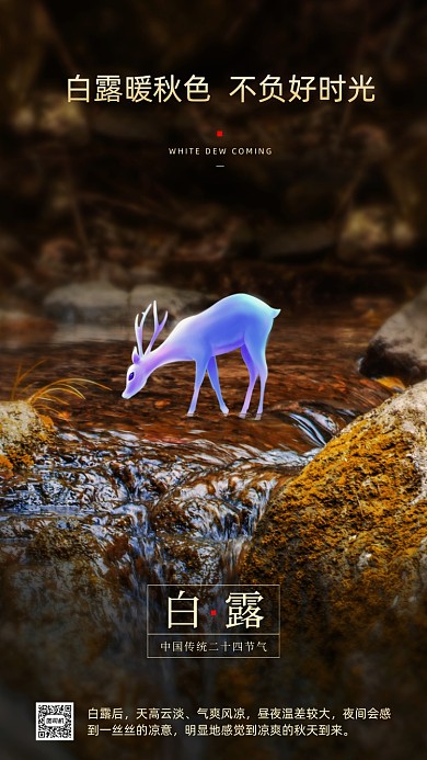 传统节气白露手机海报