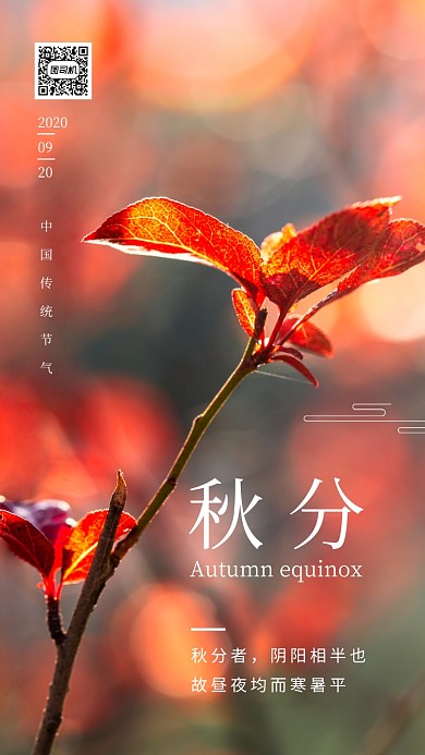 秋分节气简约手机海报