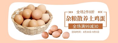 农家土鸡蛋满减促销banner
