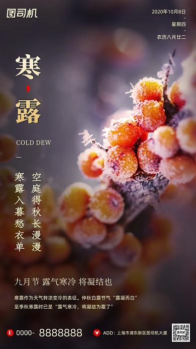 寒露节气摄影图文艺清新霜手机海报