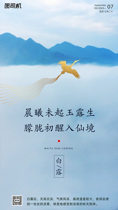 传统节气白露手机海报