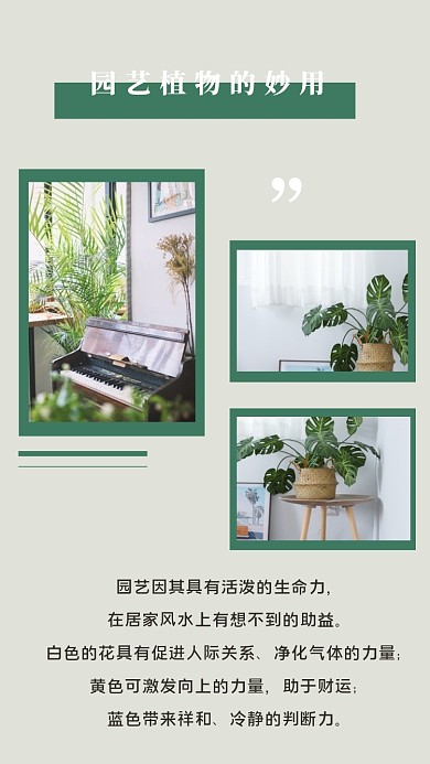 绿色园艺森林植物清新文章配图