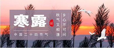 寒露节气简约公众号首图