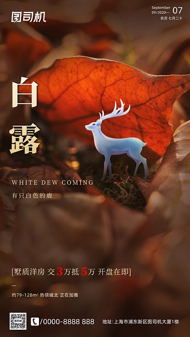 房地产传统节气白露手机海报