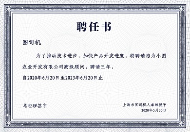 蓝色欧式底纹聘任书