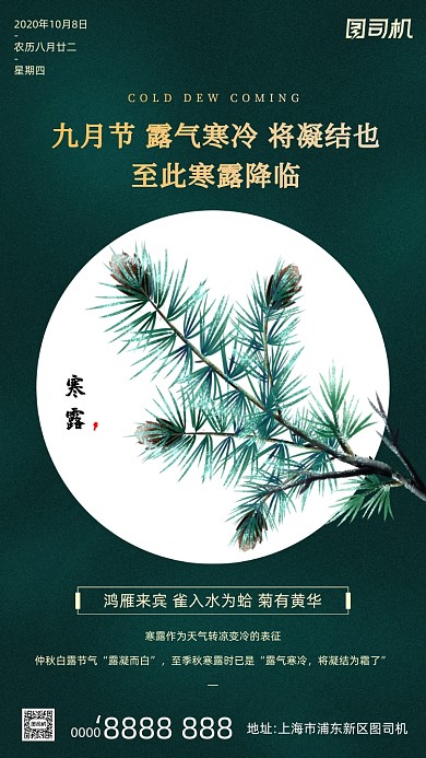 寒露节气绿色大气简约手机海报
