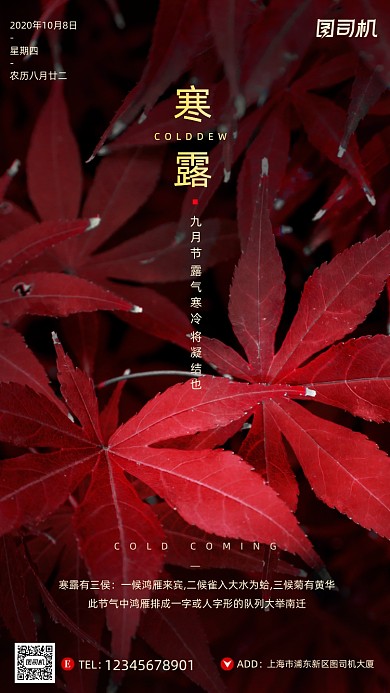 寒露节气摄影图文艺清新简约手机海报