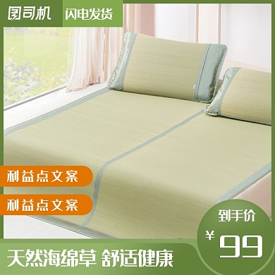 时尚夏季天然竹凉席主图