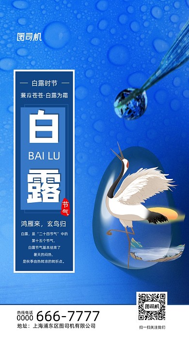 二十四节气白露清新手机海报