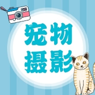 宠物摄影清新可爱插画公众号次图
