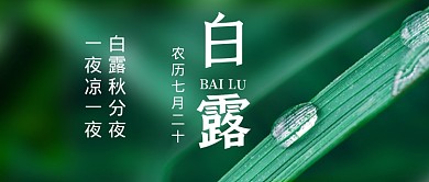 白露节气简约公众号首图