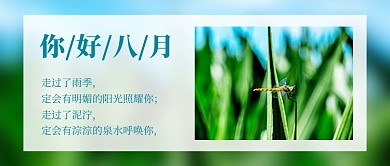 你好八月简约实景摄影图公众号首图