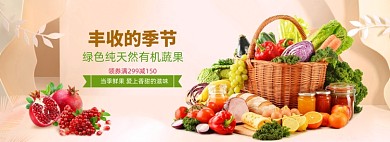 丰收季水果蔬菜促销海报