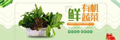 有机蔬菜绿色美团买菜海报
