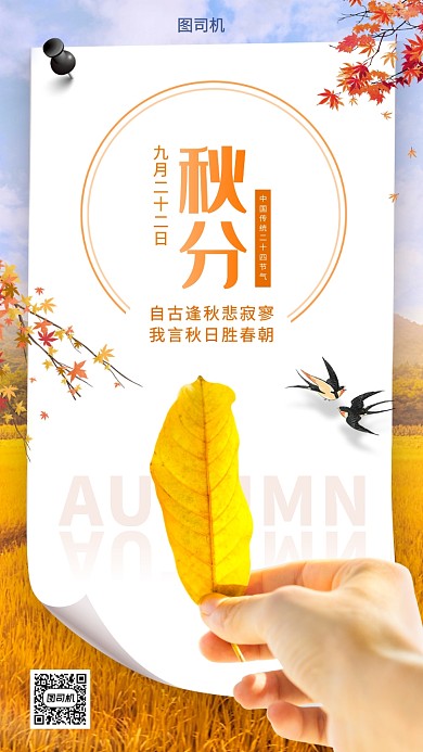 秋分节日手机海报