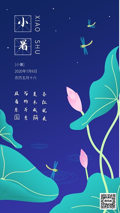 24节气之荷塘夜色诗情画意小暑