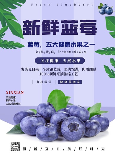 新鲜有机蓝莓水果海报