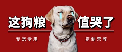 红色简约宠物狗粮公众号首图
