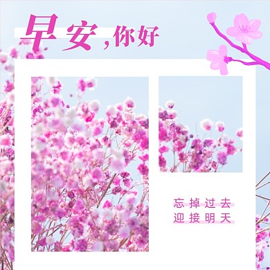 粉色小清新早安你好问候方形配图