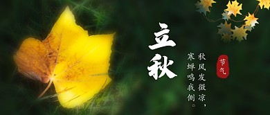 立秋时节公众号首图