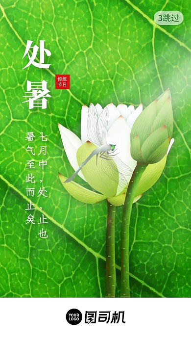 处暑传统节气创意启动页手机海报