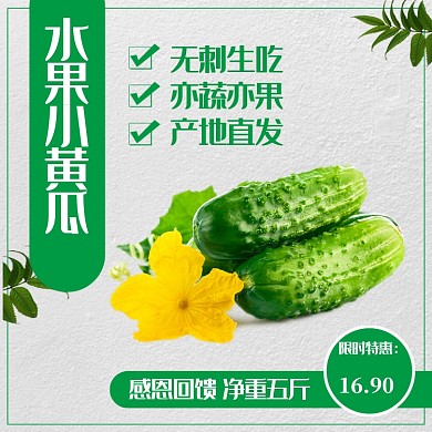 清凉风夏季美食节农产品黄瓜蔬菜丰收季主图