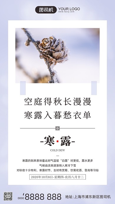 寒露节气小清新松果摄影图手机海报
