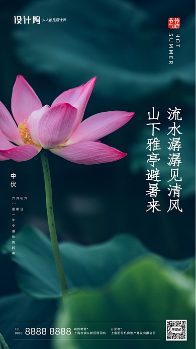 夏季荷花摄影中伏节气房地产手机海报