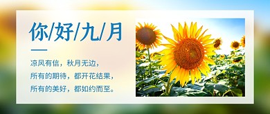 你好九月简约摄影图公众号首图