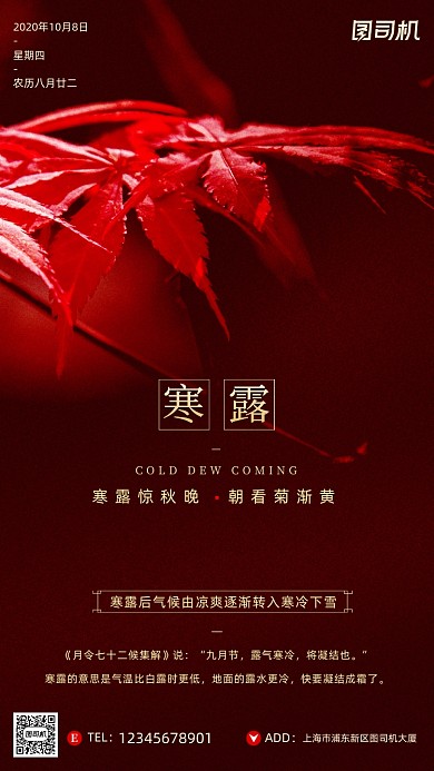 寒露节气摄影图清新枫叶简约手机海报