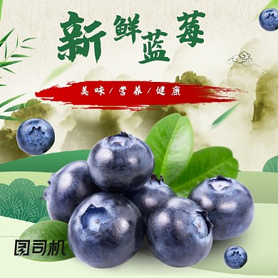 夏日清新水果蓝莓主图直通车