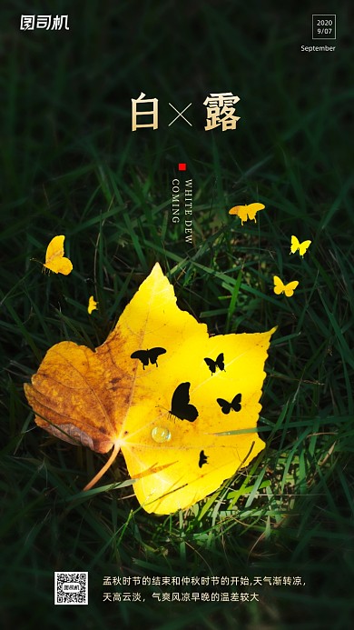 传统节气白露手机海报