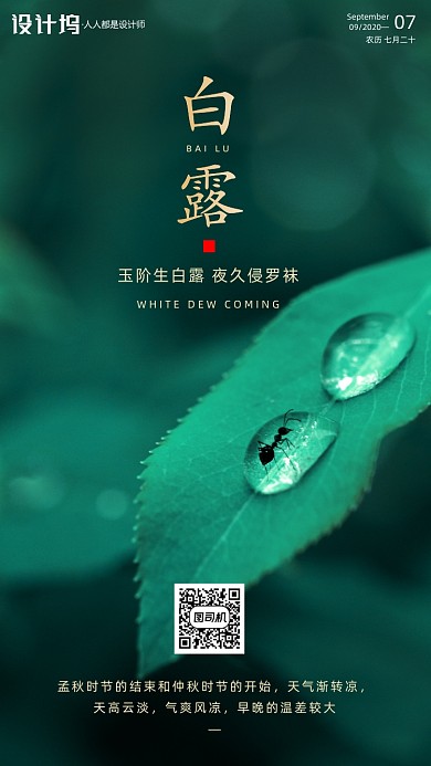 传统节气白露手机海报