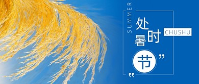 蓝色处暑风景公众号首图