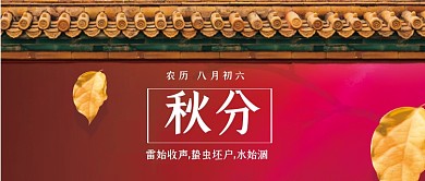 节气秋分树叶公众号首图