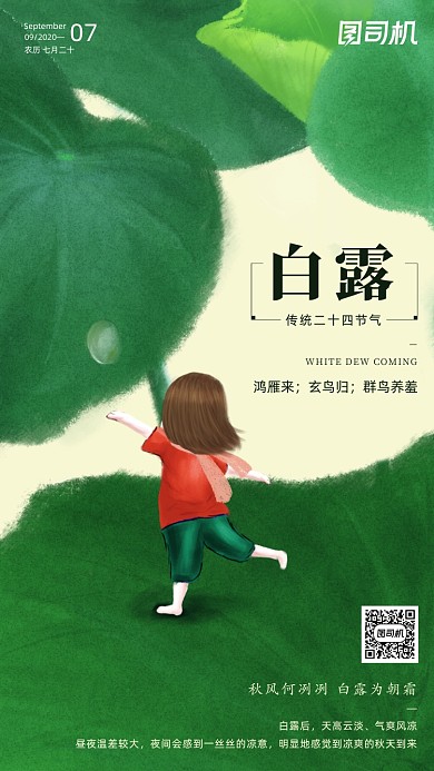 传统节气白露手机海报