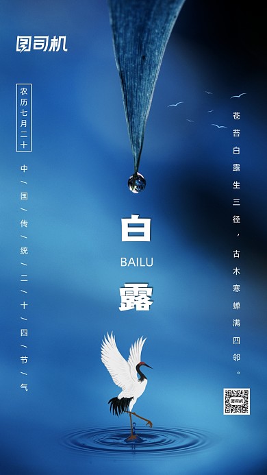 二十四节气白露手机海报