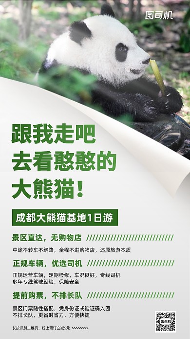 成都大熊猫基地旅行团手机海报