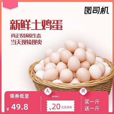 土鸡蛋特产农产品食品杂货主图直通车图
